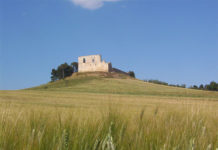 Paesaggi già visti di Pietro Amendolara 1369 0 Paesaggi già visti di Pietro Amendolara.JPG